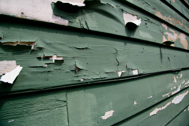 Parker, CO Junk Removal Company